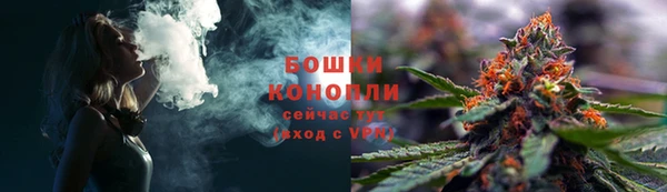 ПСИЛОЦИБИНОВЫЕ ГРИБЫ Пересвет