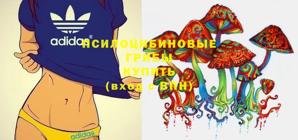 круглые Алзамай
