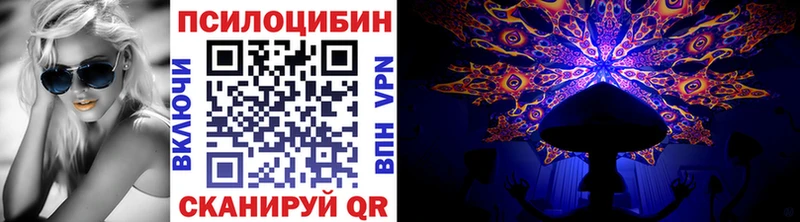 Псилоцибиновые грибы GOLDEN TEACHER Петушки