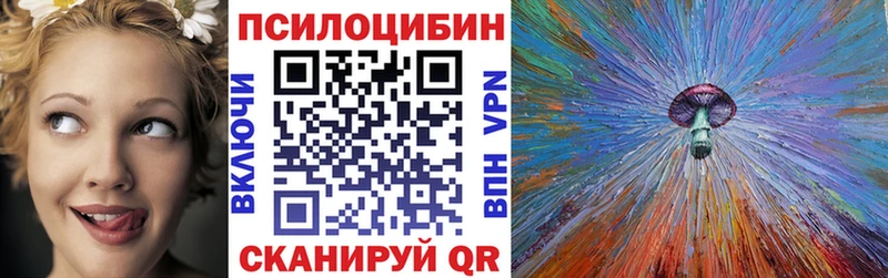 купить наркоту  Петушки  Псилоцибиновые грибы Psilocybe 